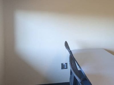 Commercial Painting Solutions