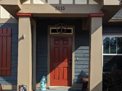 Wooden Door Painting